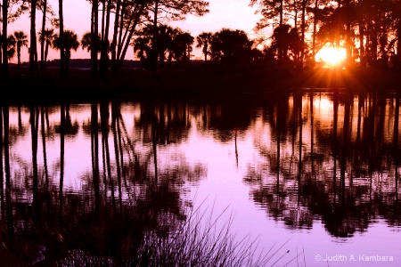 Lake Caroline