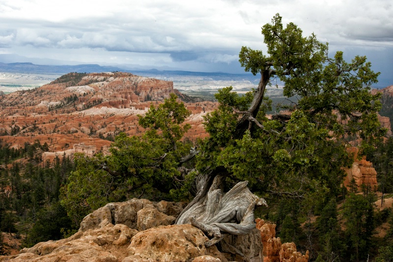 bryce canyon national park tropic ut ih1d5416 - ID: 13091555 © James E. Nelson