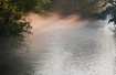 Foggy Morning Fis...