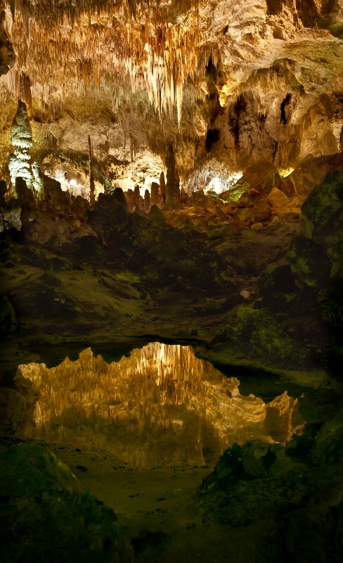 Reflection Pool - ID: 13093577 © Patricia A. Casey