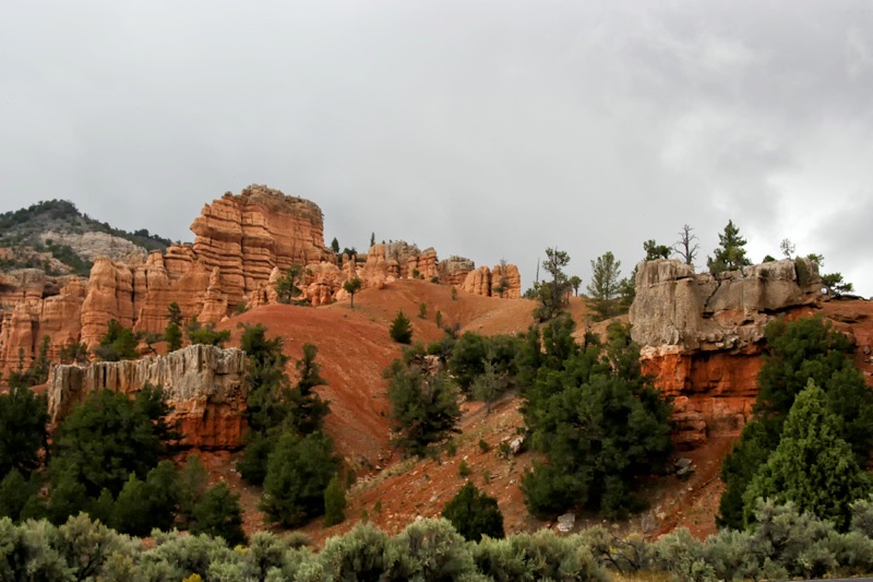 red rock canyon tropic ut ih1d5368