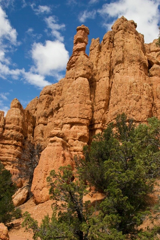 red rock canyon tropic ut ih1d5554 - ID: 13095748 © James E. Nelson