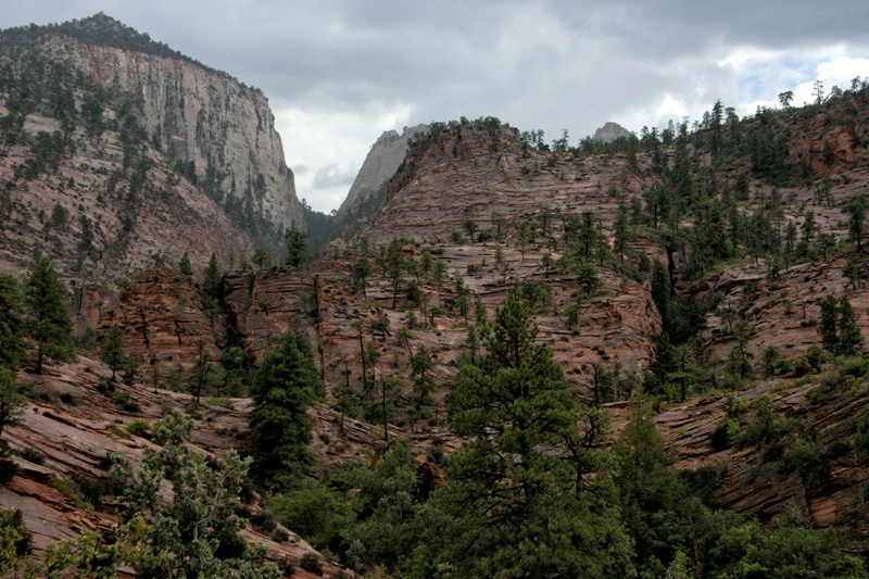 zion national park kanab ut ih1d5572 - ID: 13095750 © James E. Nelson