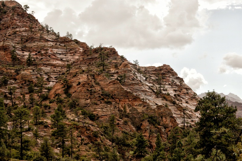 zion national park kanab ut ih1d5576 - ID: 13095751 © James E. Nelson