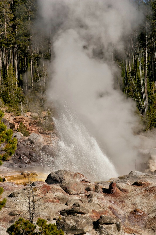 yellowstone national park yellowstone wy ih1d5923 - ID: 13095780 © James E. Nelson