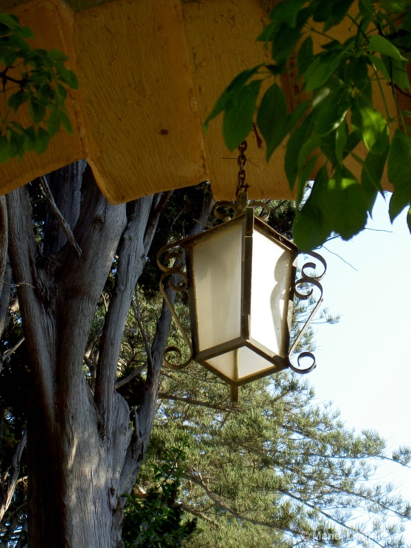 Lantern at San Anton Gardens