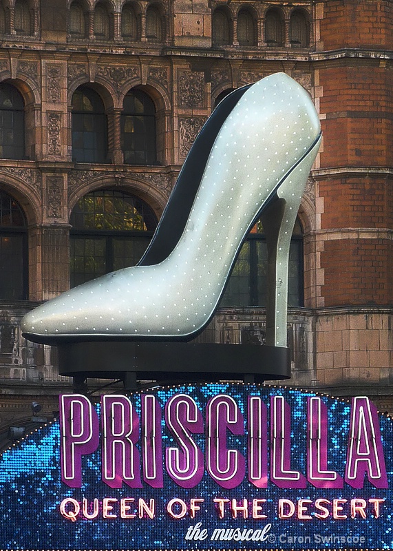 Priscilla for Sale