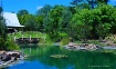Emerald Greens