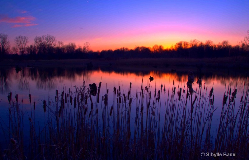 Spring Sunset  - ID: 13096389 © Sibylle Basel