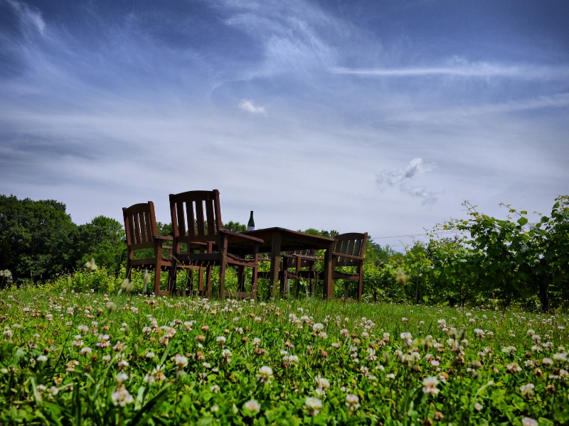 Come, Sit, Relax and Enjoy