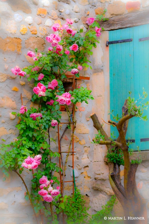 Colors of Provence - Gigondas, France