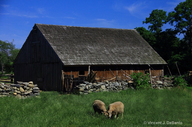 Coggeshall Farm, Rhode Island