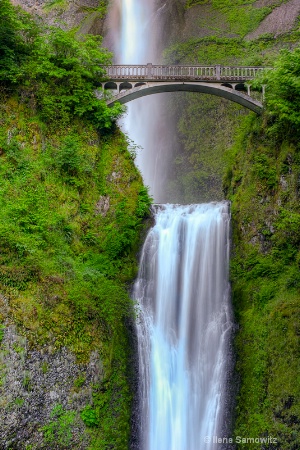 Multnomah Falls 