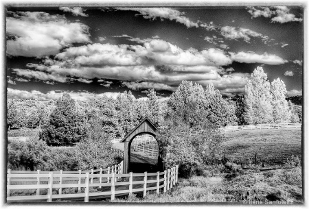 Infrared Pastoral Scene