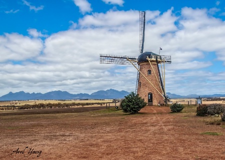 THE LILY..Windmill near Albany Western Australia