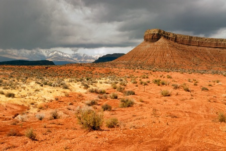 Desert Storm Approaching