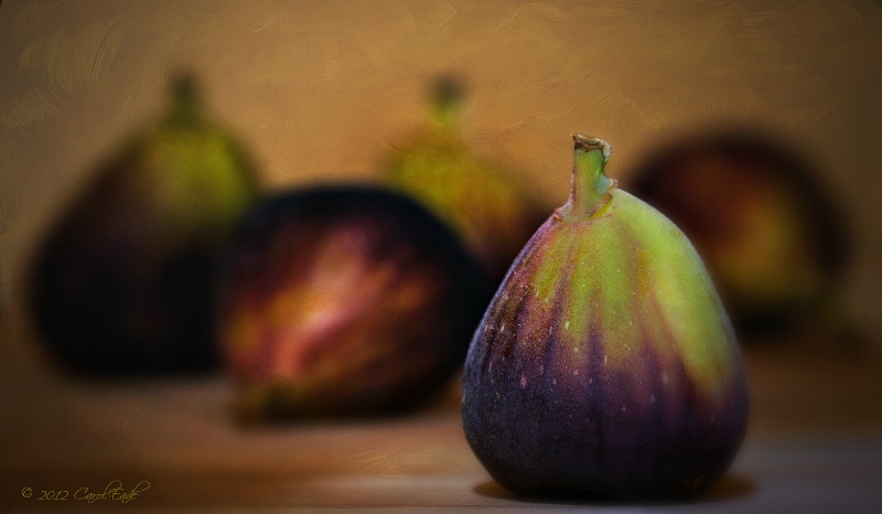 Brown Turkey Figs - ID: 13103800 © Carol Eade