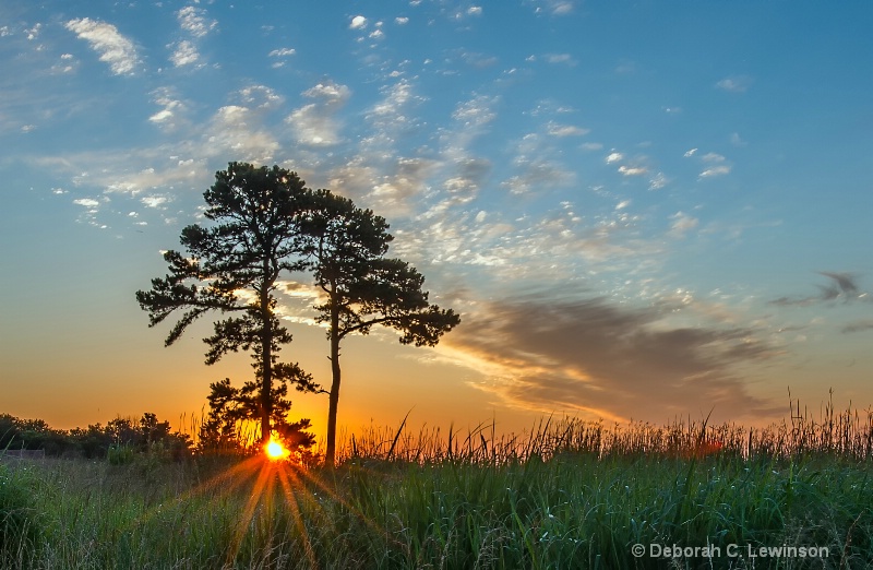 Rising Sun - ID: 13104343 © Deborah C. Lewinson