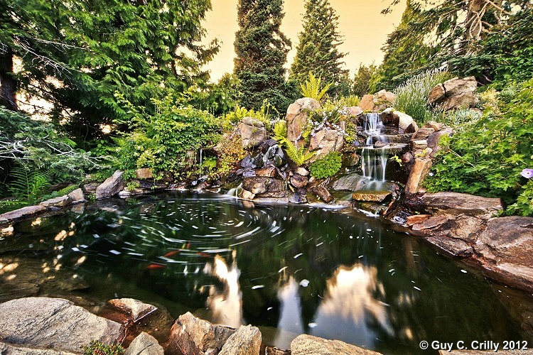 Ohme Gardens Pool Swirls