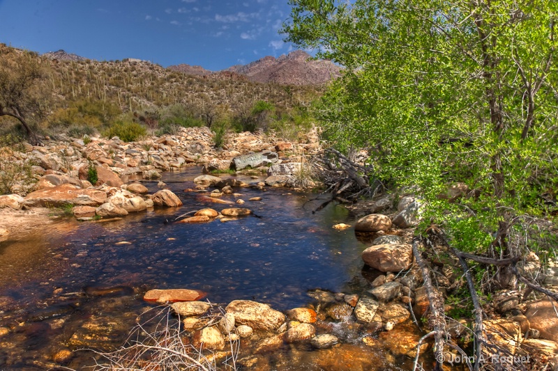  mg 0686 Sonoran Desert