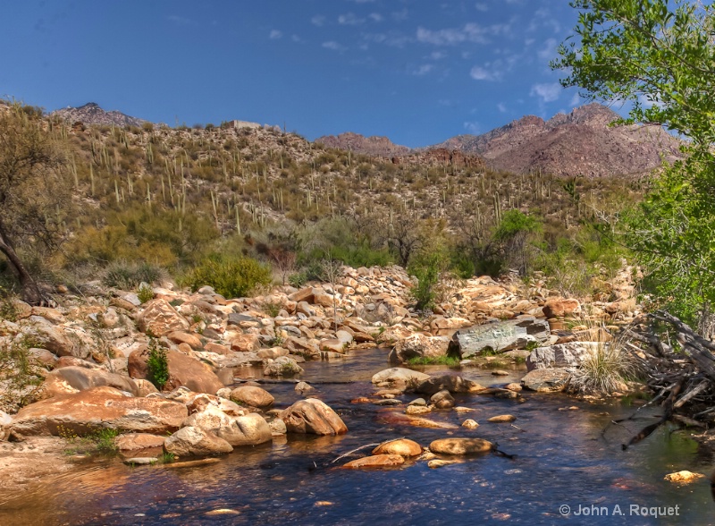 mg 0685 Sonoran Desert - ID: 13107039 © John A. Roquet