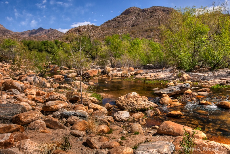 mg 0697 Bear Canyon - ID: 13107040 © John A. Roquet