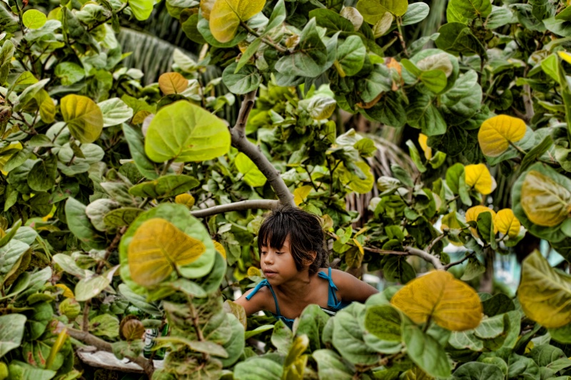 Girl in a Tree