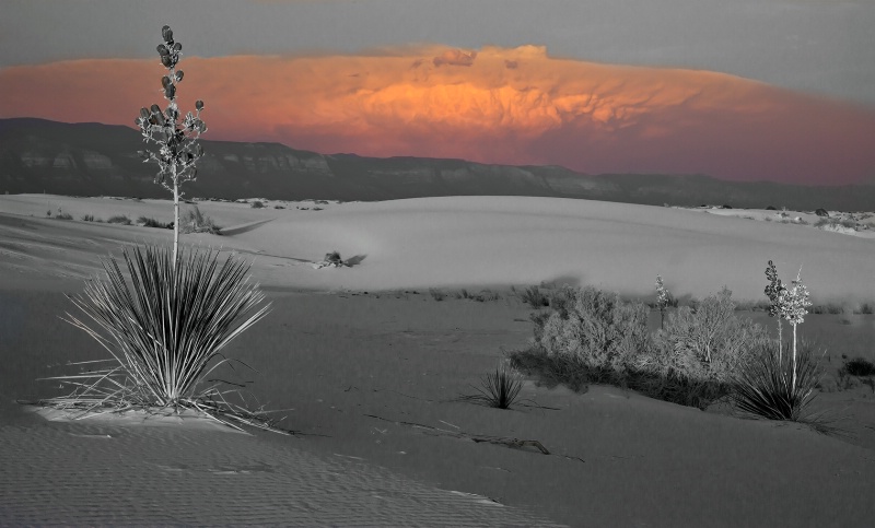 Alamogordo Cloud - ID: 13109062 © Patricia A. Casey