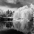 © Martin L. Heavner PhotoID# 13111325: Sercy Chateau - Burgundy, France