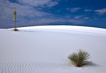 White Sands