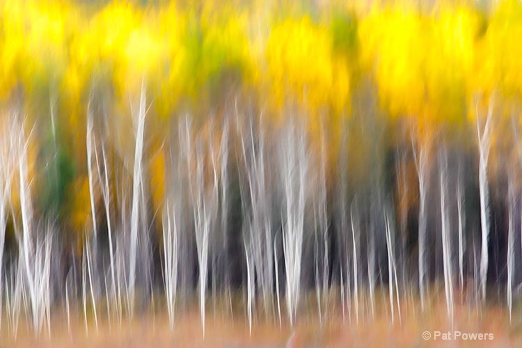 - ID: 13112420 © Pat Powers