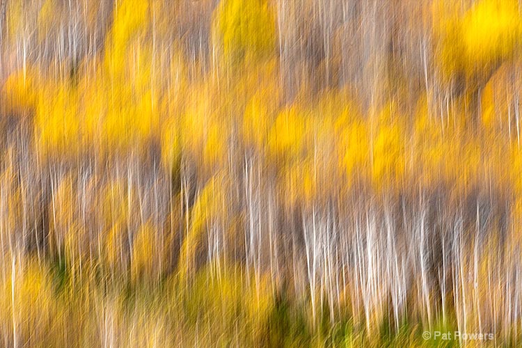 - ID: 13112483 © Pat Powers