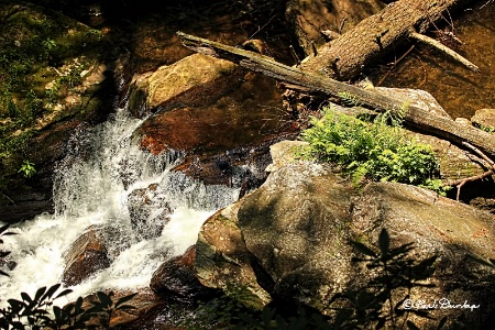 Duke's Creek, North Georgia