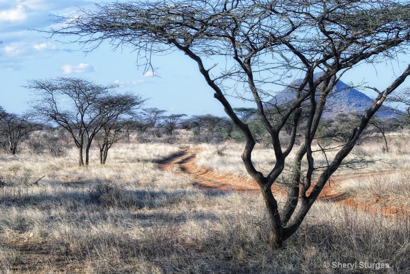 Samburu  Landscape