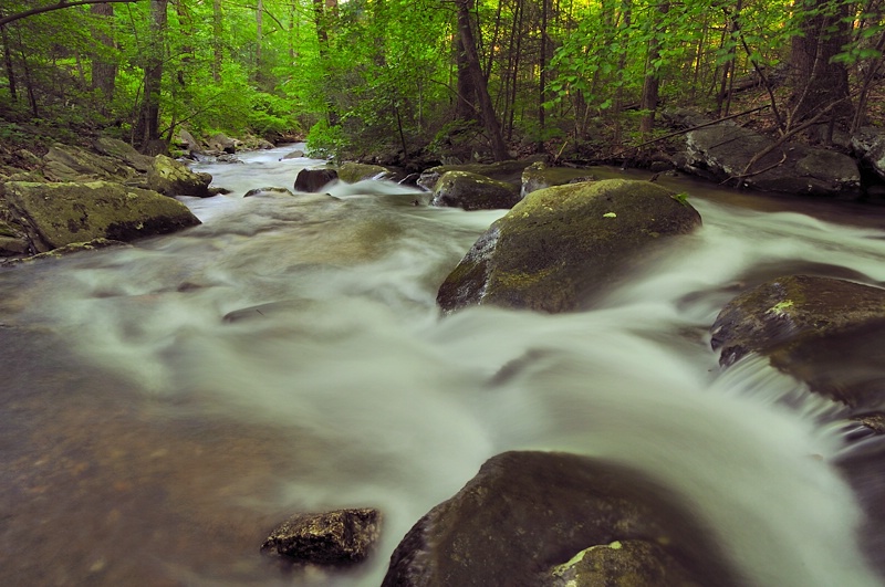 Fishing Creek 2