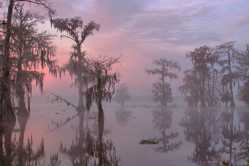 Mysterious Sunrise