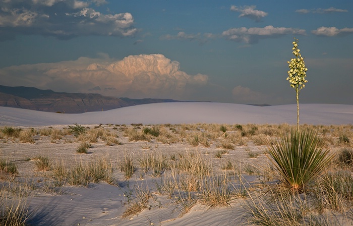 White Sands Evening