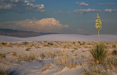 White Sands Evening