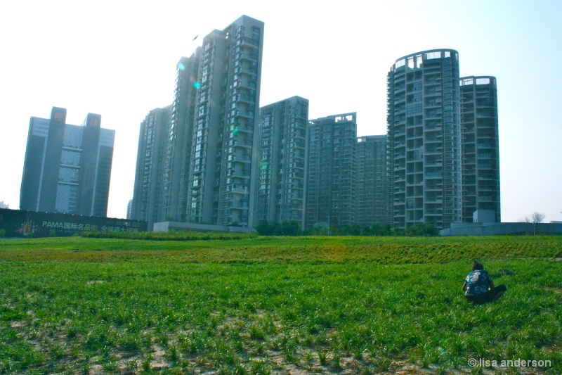 farming in china