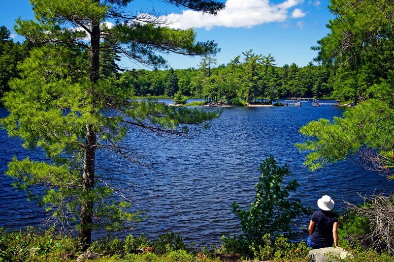 Enjoying the Lake