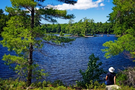 Enjoying the Lake