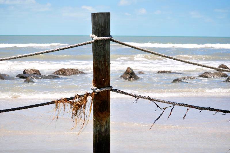 Seaweed and Ropes