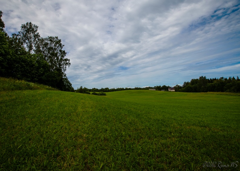 The field in Estonia