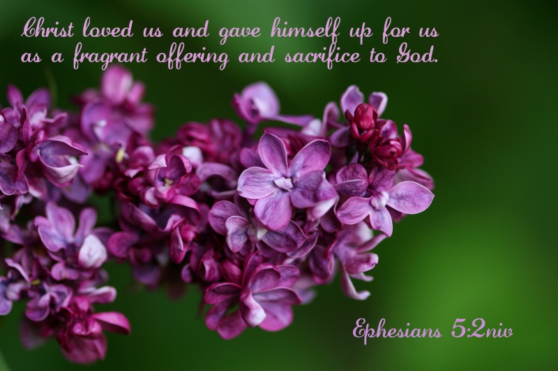 Ephesians 5:2 niv - ID: 13119923 © Janine Russell