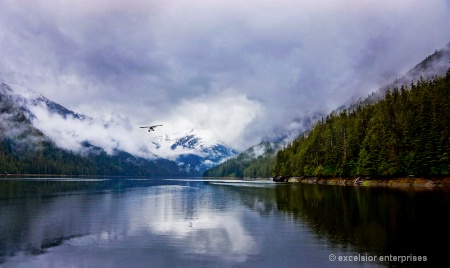 Misty fjords, Alaska
