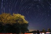 Star Trails in So...