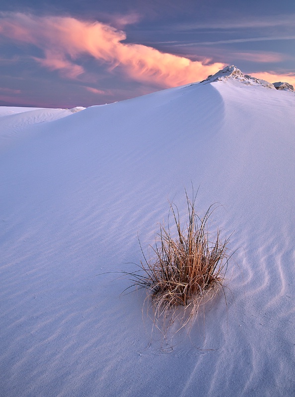 Fading Grasses, Fading Light - ID: 13124554 © Patricia A. Casey