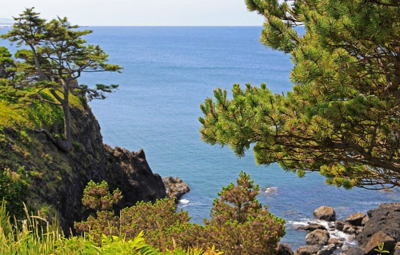 Yaquina Head Seascape - EP