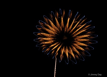 Fireworks Flower