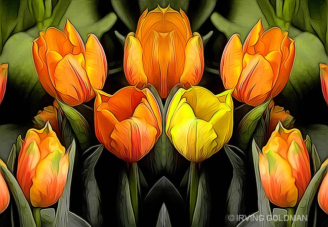 TULIPS